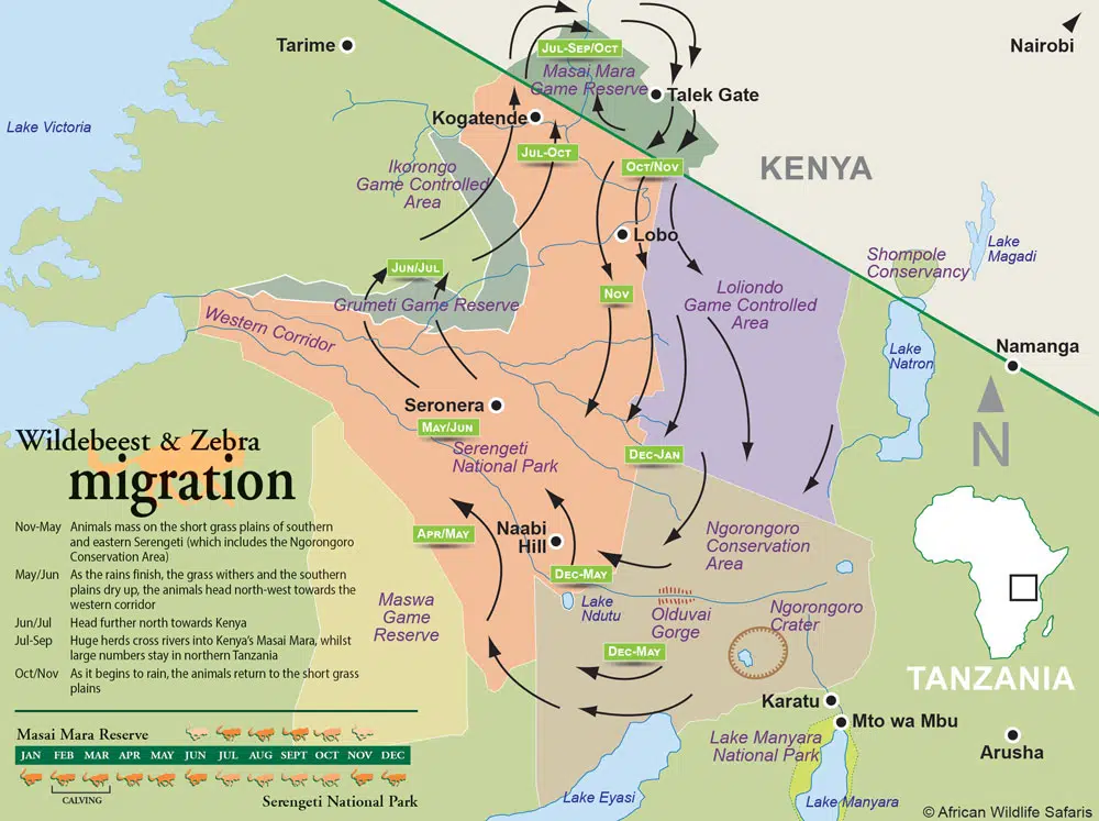 Grande Migração